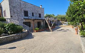 Casa Dario